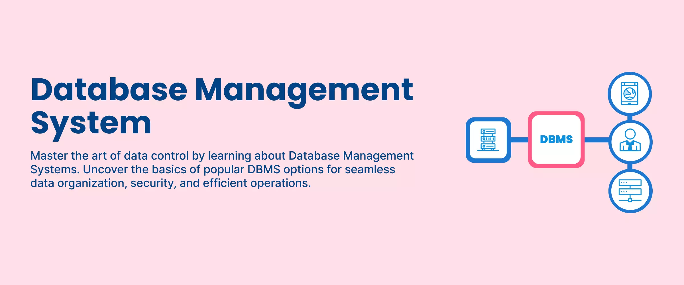 What Is DBMS