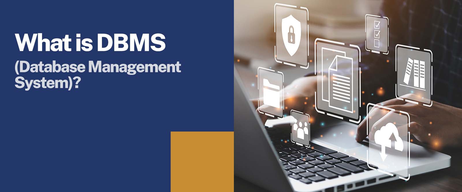 What Is DBMS? 7 Powerful Reasons Why Itโs Absolutely Essential for Your Success at Workvix