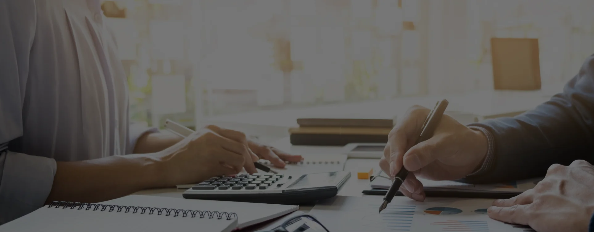 Data Curation and Labeling Service