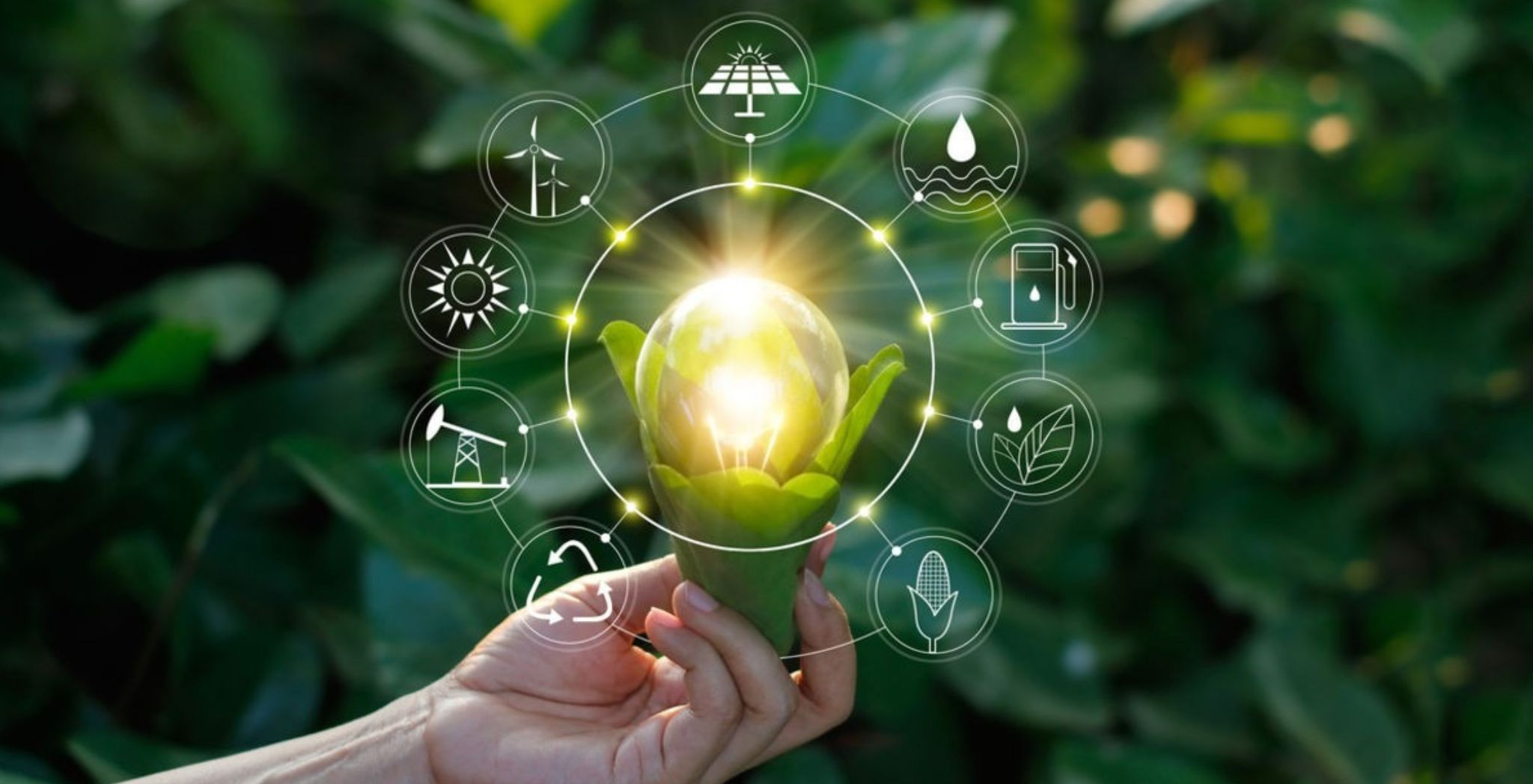 Sustainable Technology Solution