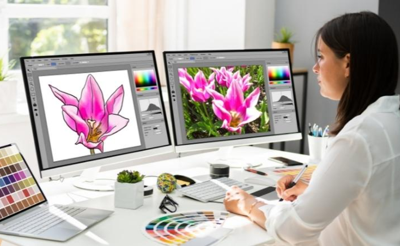 Professional Web Designer