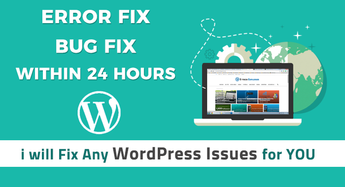 WordPress Bug Fix Services