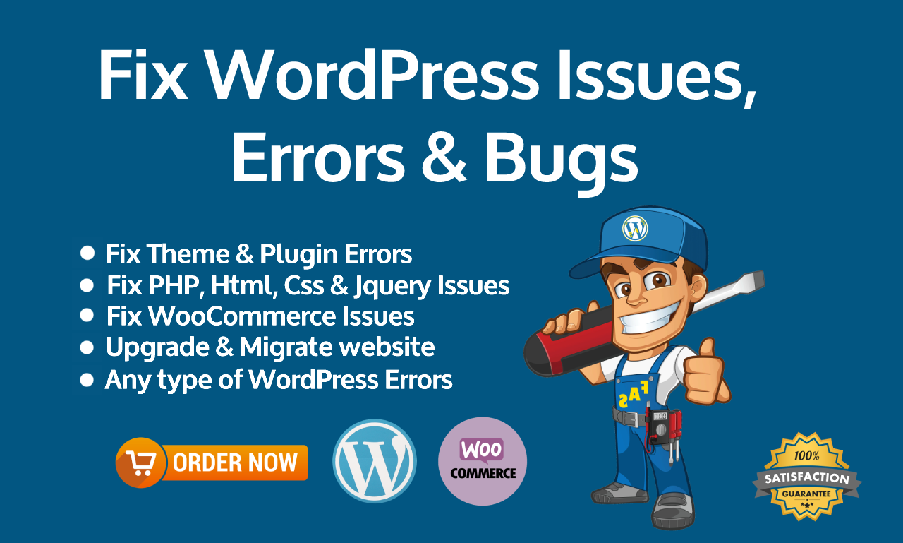 9 Powerful Reasons WordPress Bug Fix Services Improve Website Performance – workvix.com